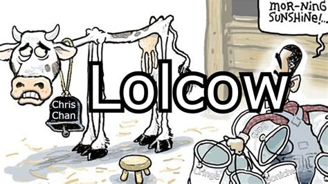 what is a lolcow